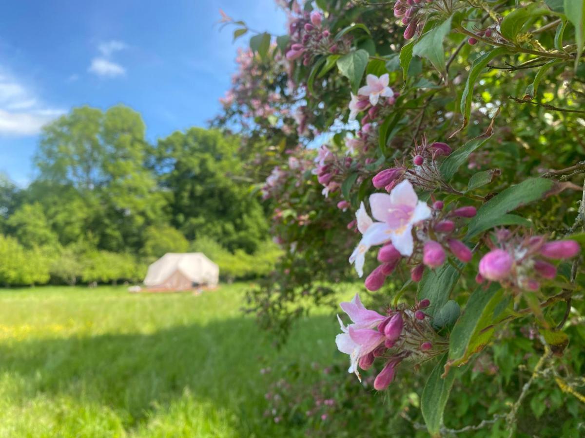 Green Glamping Сённерборг Экстерьер фото